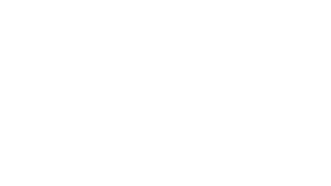 Logo Echory Flow in white